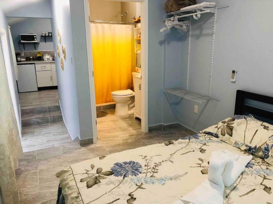 New Luxurious Studio Private In The Heart Of Miami Kültér fotó