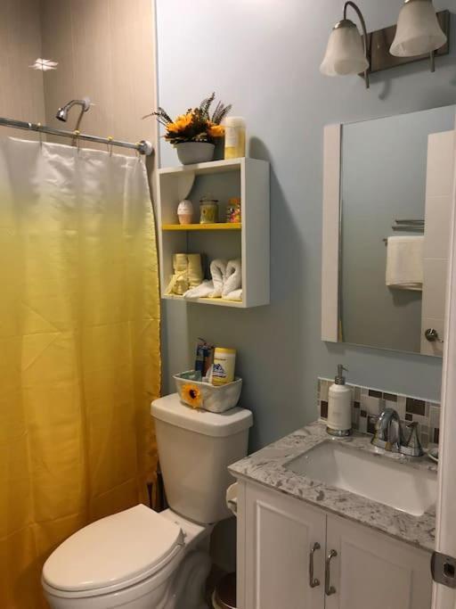 New Luxurious Studio Private In The Heart Of Miami Kültér fotó