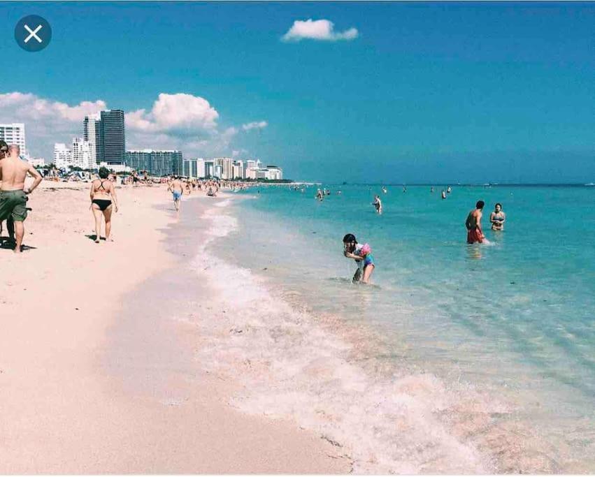New Luxurious Studio Private In The Heart Of Miami Kültér fotó