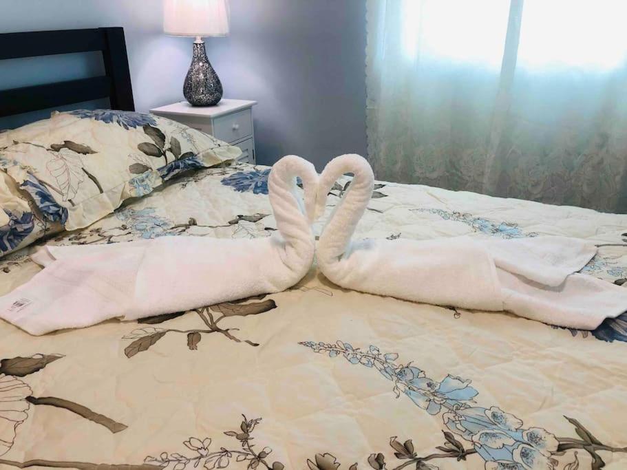 New Luxurious Studio Private In The Heart Of Miami Kültér fotó
